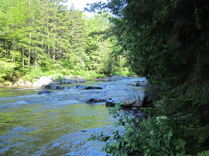 Appalachian Trail Big Wilson Stream