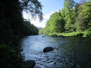 Appalachian Trail Big Wilson Stream