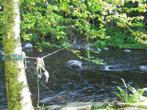 Appalachian Trail South side of Big Wilson Stream ford.