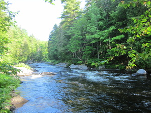 Appalachian Trail Big Wilson Stream