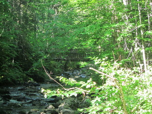 Appalachian Trail Broken bridge near trail