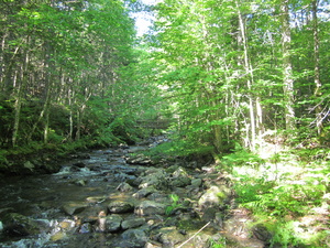 Appalachian Trail 