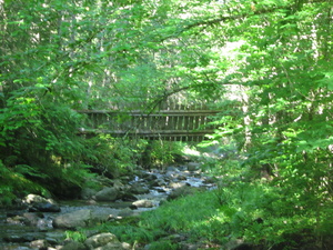 Appalachian Trail Broken bridge near trail