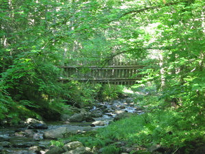 Appalachian Trail Broken bridge near trail