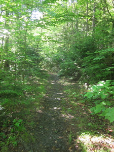 Appalachian Trail 