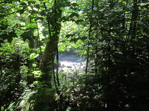 Appalachian Trail Big Wilson Stream