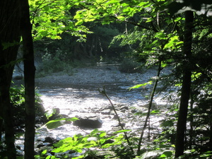 Appalachian Trail Big Wilson Stream