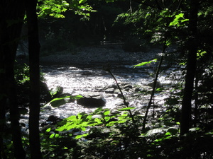 Appalachian Trail Big Wilson Stream