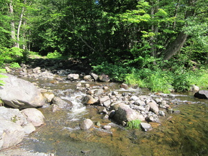 Appalachian Trail 