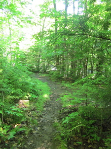 Appalachian Trail 