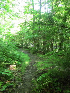 Appalachian Trail 