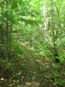 Appalachian Trail 