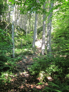 Appalachian Trail 