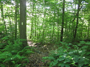 Appalachian Trail 