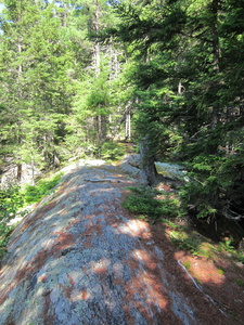 Appalachian Trail 