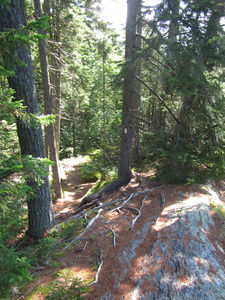 Appalachian Trail 