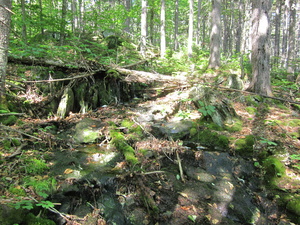 Appalachian Trail 