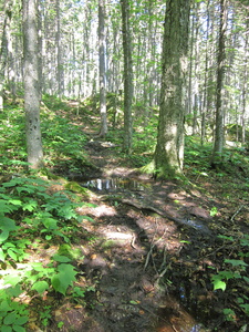 Appalachian Trail 