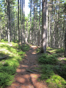 Appalachian Trail 