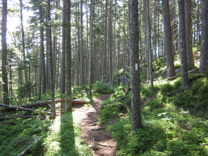 Appalachian Trail 