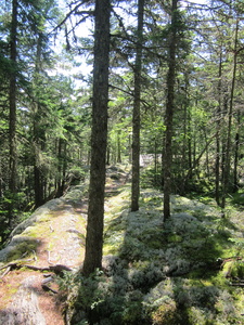 Appalachian Trail 