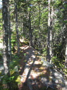 Appalachian Trail 