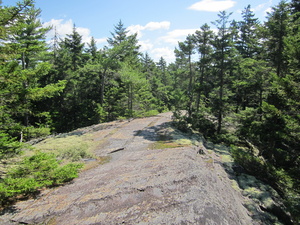 Appalachian Trail 