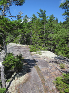 Appalachian Trail 