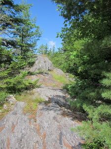 Appalachian Trail 