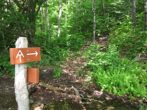 Appalachian Trail 