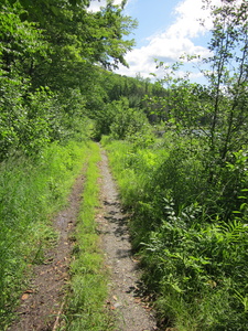 Appalachian Trail Trail along small lake