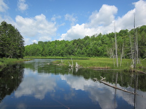 Appalachian Trail 