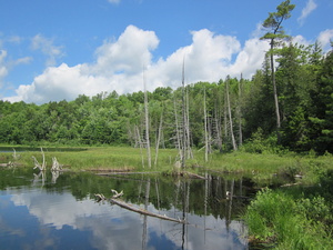 Appalachian Trail 