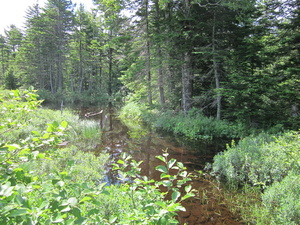 Appalachian Trail 