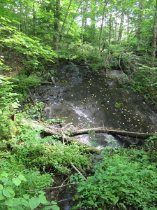 Appalachian Trail 