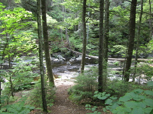 Appalachian Trail 