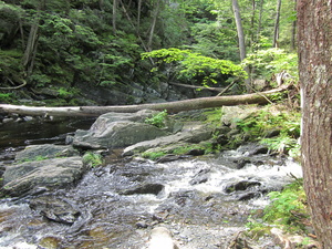 Appalachian Trail 