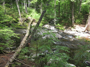 Appalachian Trail 