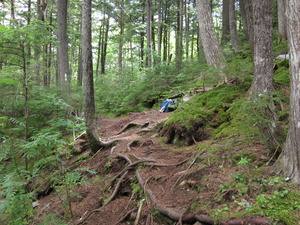 Appalachian Trail My pack