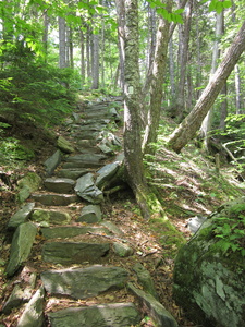 Appalachian Trail Steps