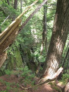 Appalachian Trail 