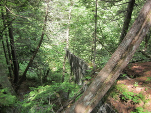 Appalachian Trail Interesting rock