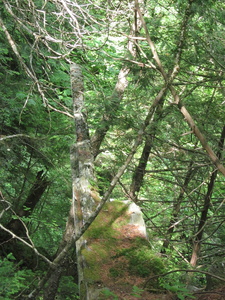 Appalachian Trail Interesting rock