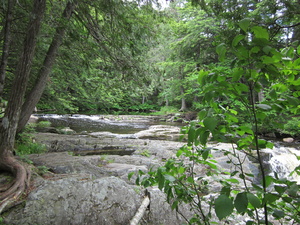 Appalachian Trail Just above Little Wilson Falls