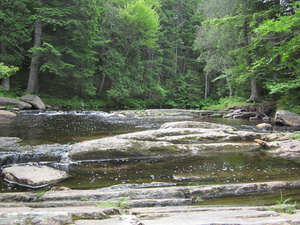 Appalachian Trail Just above Little Wilson Falls