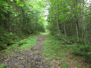 Appalachian Trail 