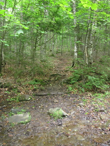 Appalachian Trail 