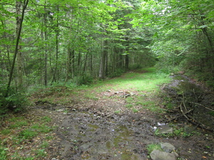 Appalachian Trail 