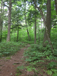 Appalachian Trail 