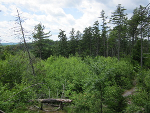 Appalachian Trail 